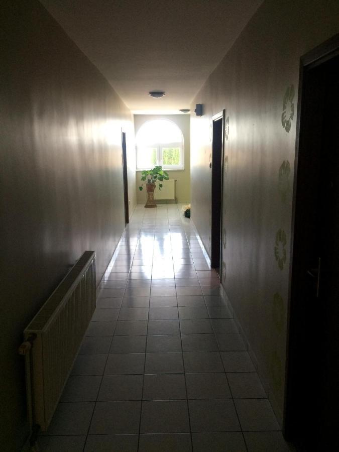 Venusz Panzio Es Vendeglo Bed & Breakfast Bagod Exterior photo